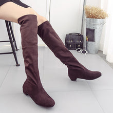 Women Winter Autumn Flat High Leg Suede Boots