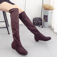 Women Winter Autumn Flat High Leg Suede Boots