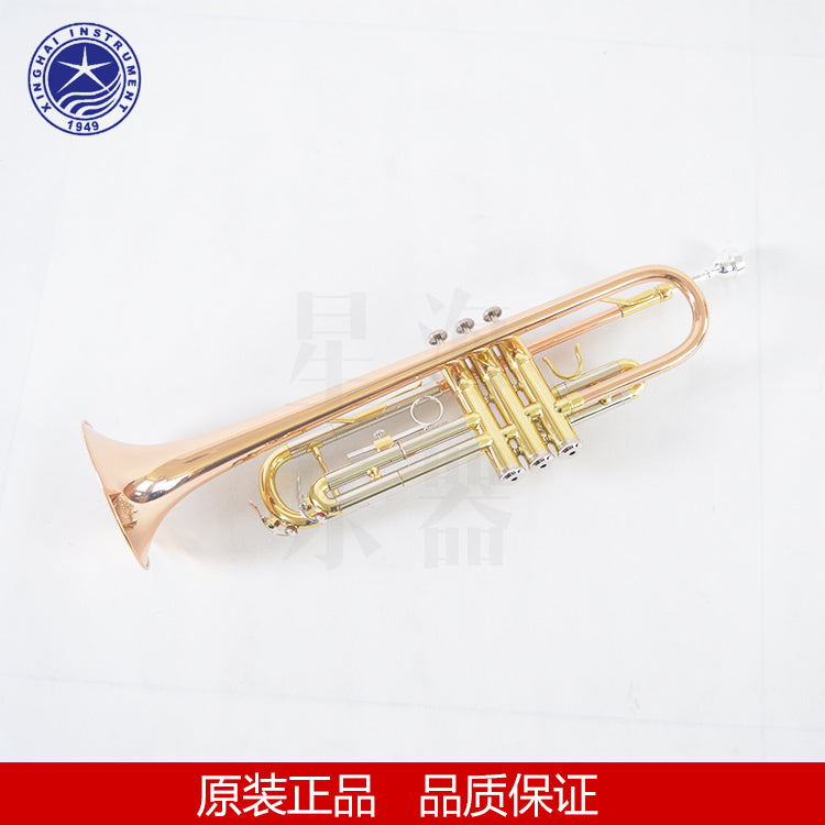 Music XT-210 Bb Professional Trumpet Top Musical Instruments